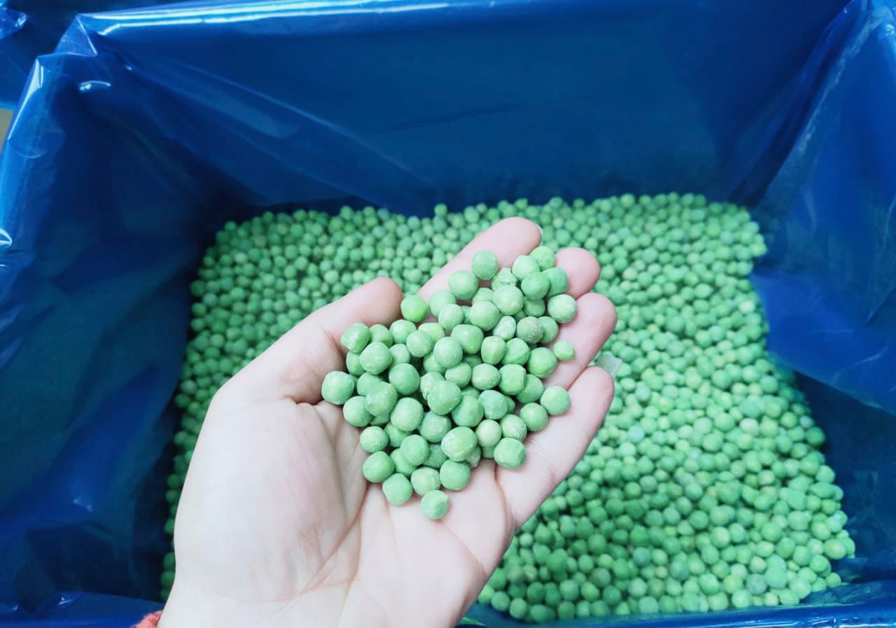 IQF Frozen Peas Egypt V2