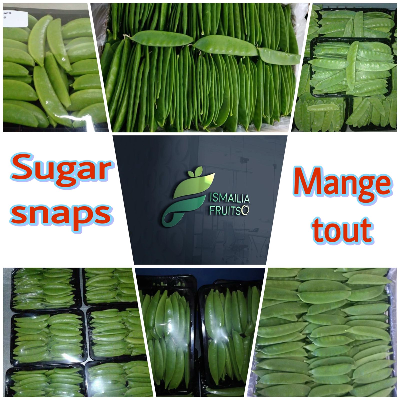 IQF Frozen Green Beans V3