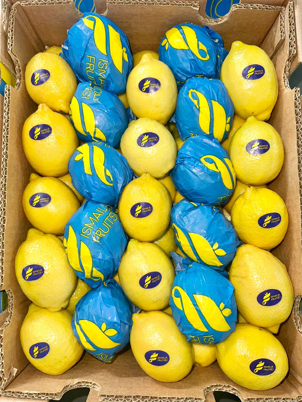 Fresh Egyptian Lemon V1