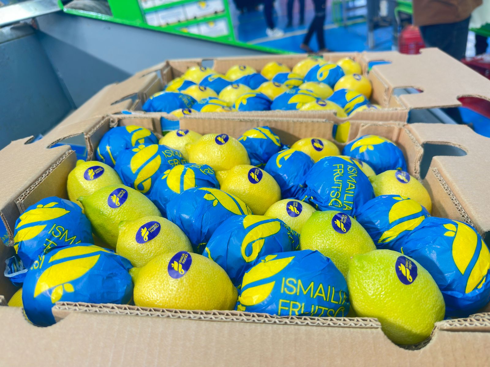 Fresh Egyptian Lemon V2