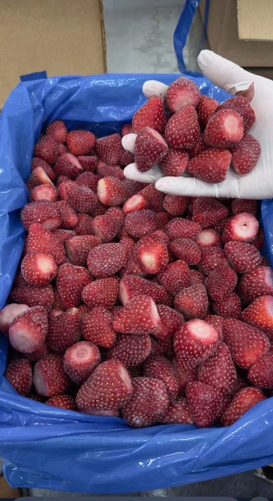 IQF Frozen Strawberry Selection
