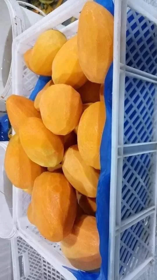 IQF Mango for Food Industry