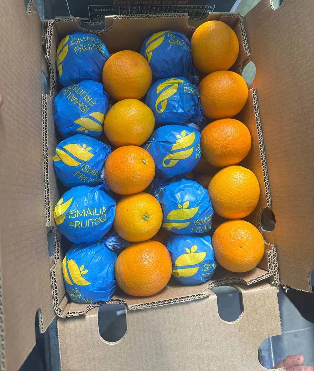 Egyptian Mandarin Export Grade